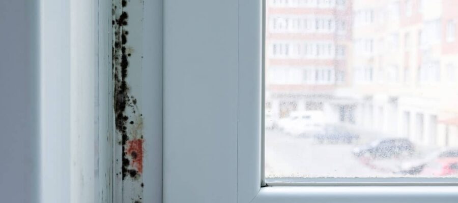 ¿Cómo se limpia el moho de las ventanas?